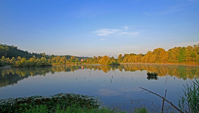 5 PASSEGGIATE PER RILASSARSI NEL VERDE